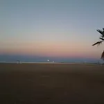 Berna * Denia