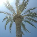 Berna * Denia