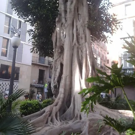 Проживание в семье Berna Дения