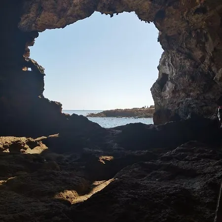 Проживание в семье Berna Дения