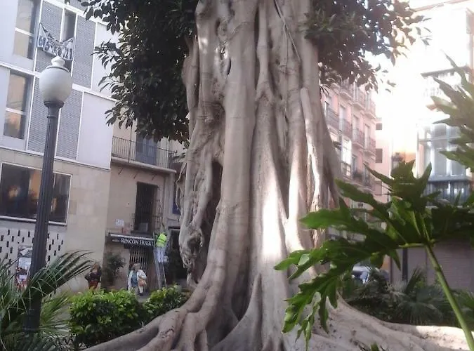 Rum i privatbostad Berna Denia