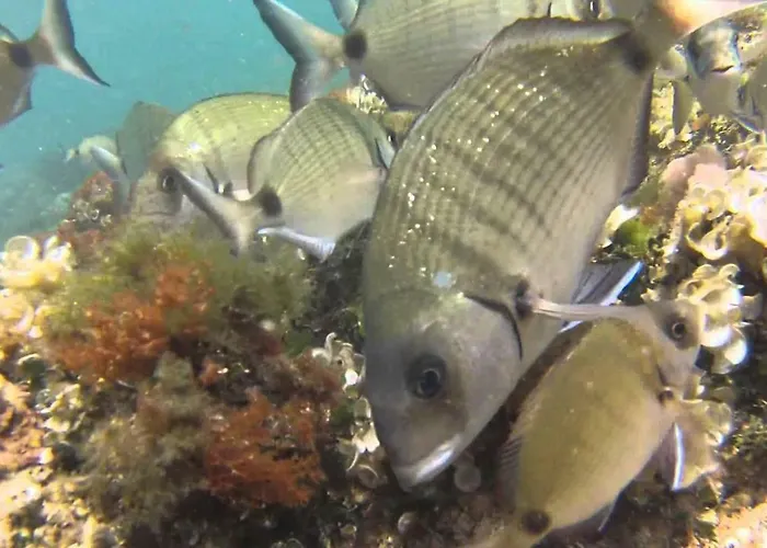 Rum i privatbostad Berna *